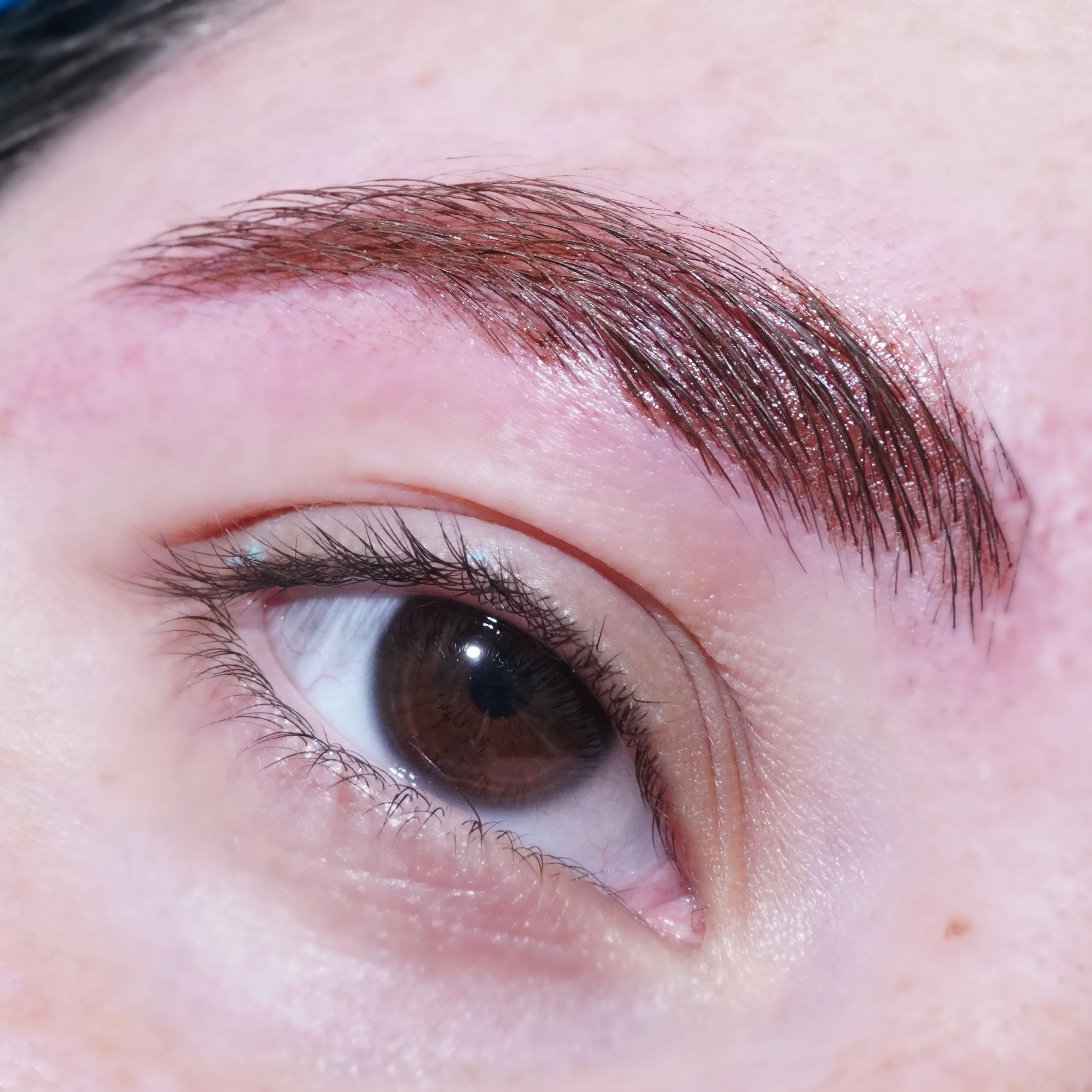 Chestnut (Brown) Spectra Brow - Brow Cream - Glisten Cosmetics - Image 5
