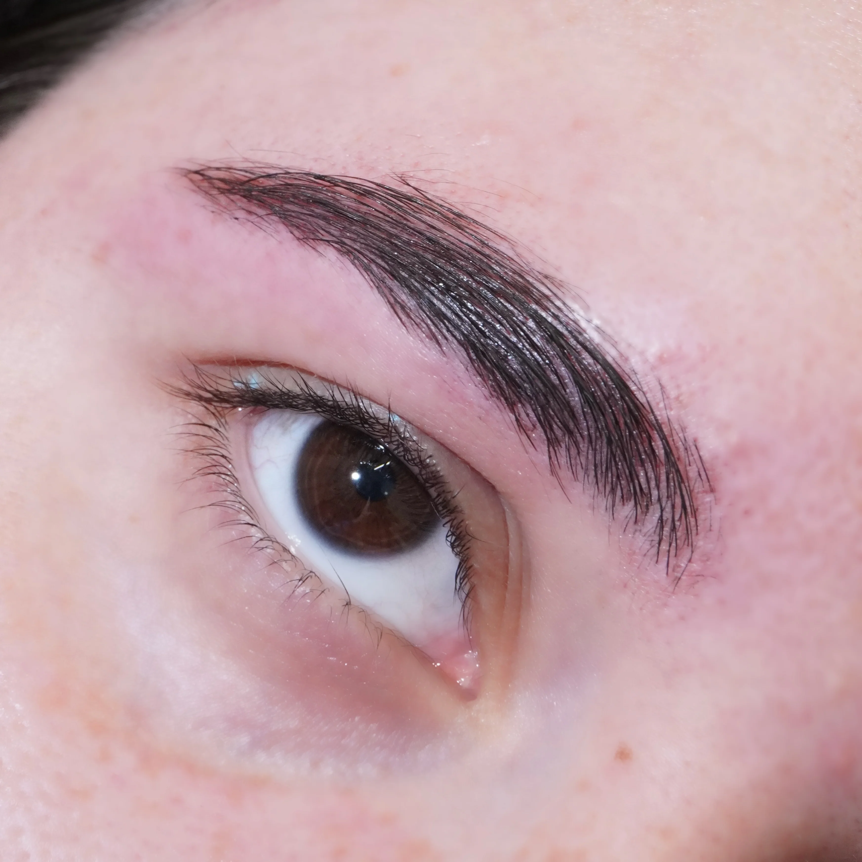 Ink (Black) Spectra Brow - Brow Cream - Glisten Cosmetics - Image 5