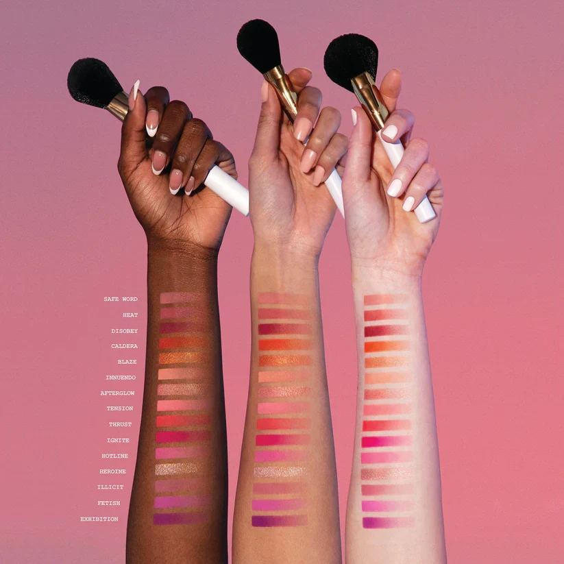MASTERCLASS PRO CHEEK PALETTE - Blend Bunny Cosmetics - Image 4
