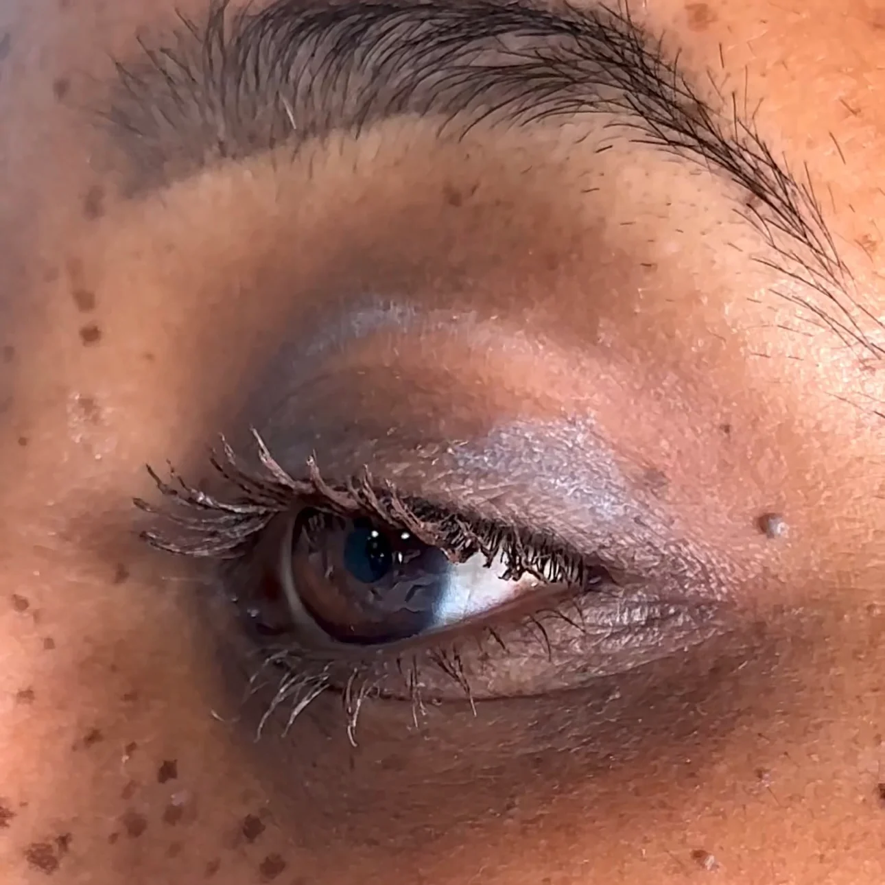 Dark Brown Spectra Lash - Mascara - Glisten Cosmetics - Image 5