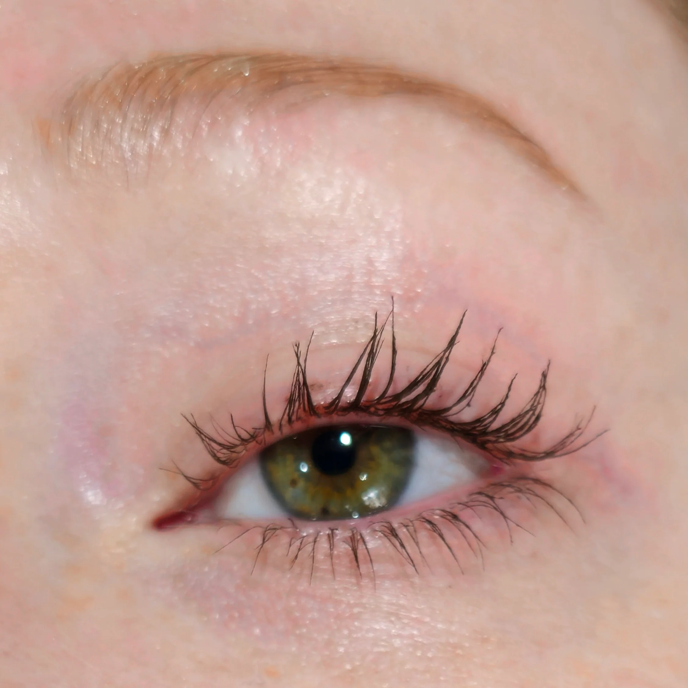 Dark Brown Spectra Lash - Mascara - Glisten Cosmetics - Image 6